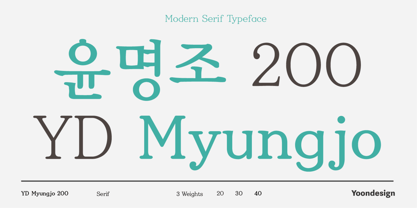 YD Myungjo 200 Font Poster 1