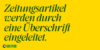 Segnieur Serif Display Font Poster 4