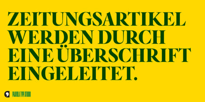 Segnieur Serif Display Font Poster 12