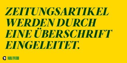 Segnieur Serif Display Font Poster 6