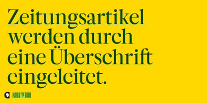 Segnieur Serif Display Font Poster 11