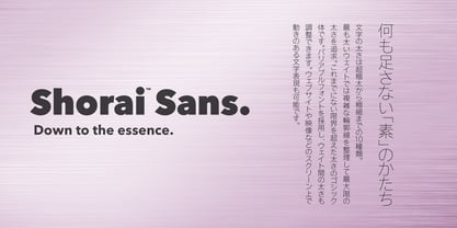 Shorai Sans Variable Font Poster 10