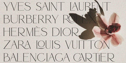 louis vuitton script font