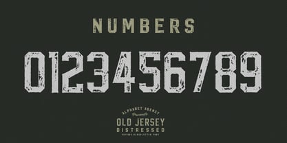 Old Jersey Distressed Font Poster 4