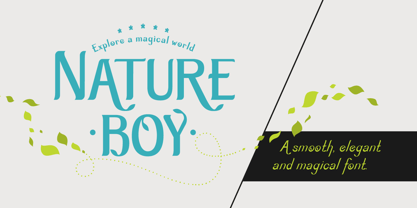 Nature Boy Font Poster 1