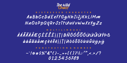 The Wild Chaos Font Poster 13