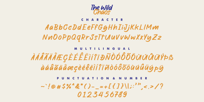 The Wild Chaos Font Poster 12