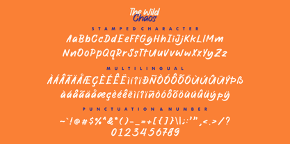 The Wild Chaos Font Poster 14