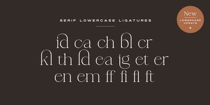 La Luxes Font Poster 14