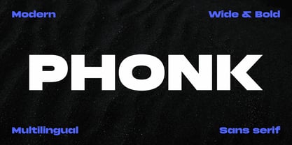 Phonk Font Poster 1