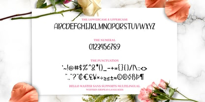 Hello Master Font Poster 6