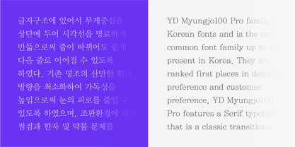 YD Myungjo 100 Font Poster 6