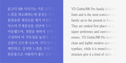 YD Myungjo 500 Font Poster 5