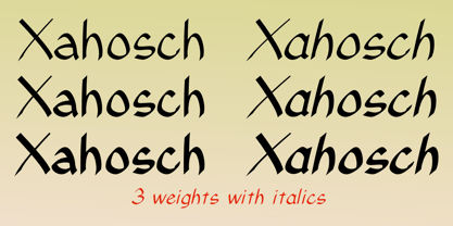 Xahosch Police Poster 3