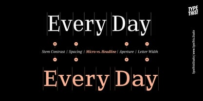 Every Font Poster 10