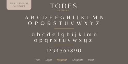 Todes Font Poster 14