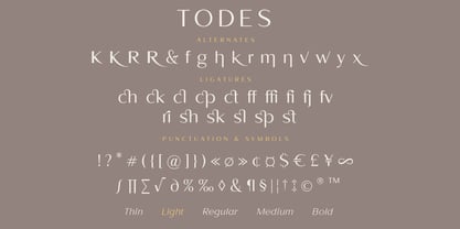 Todes Font Poster 15