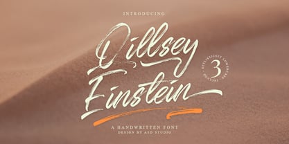 Qillsey Einstein Fuente Póster 1