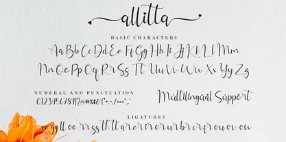 Allitta Calligraphy Font Poster 9