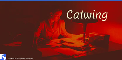 Catwing Font Poster 1