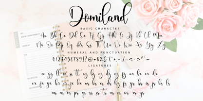 Domiland Font Poster 10