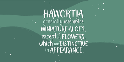 Haworthia Font Poster 5