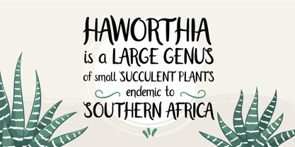 Haworthia Font Poster 2