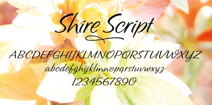 Shire Script Font Poster 2