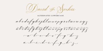 David And Sovhie Font Poster 7