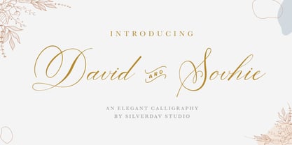 David And Sovhie Font Poster 1