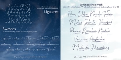 Blossoming Constellation Font Poster 2