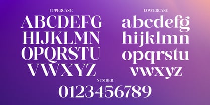Misticaly Font Poster 12