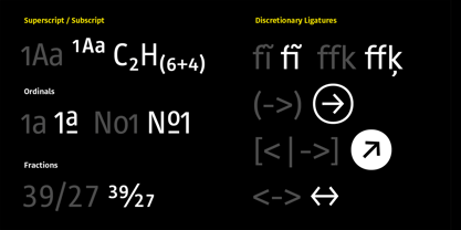 Site Negative Compressed Font Poster 6