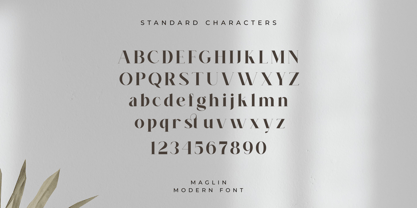 Maglin Font Poster 11