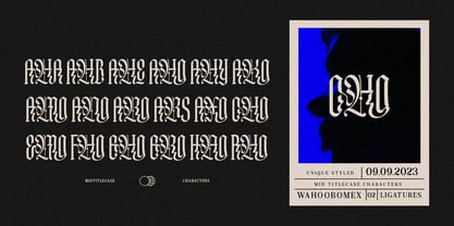 Wahoobomex Font Poster 12