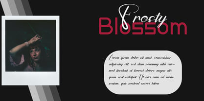 Frosty Blossom Duo Font Poster 4