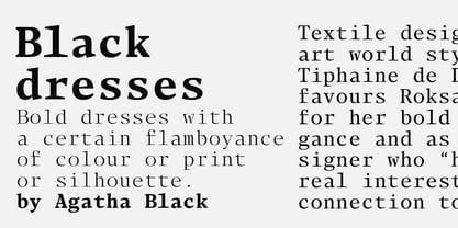 Blacker Mono Font Poster 6