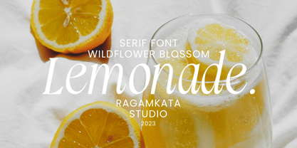 Wildflower Blossom Font Poster 7