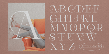 Delluna Typeface Font Poster 9