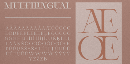 Delluna Typeface Font Poster 11