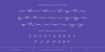 Femylona Font Poster 9