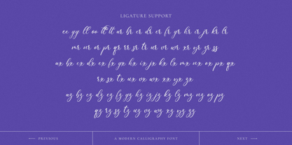 Femylona Font Poster 10