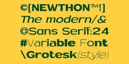 MN Newthon Font Poster 2