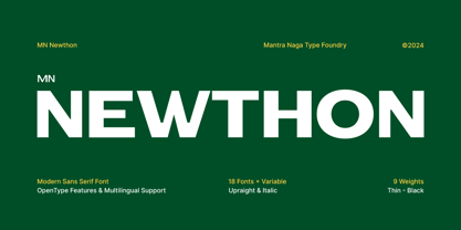 MN Newthon Font Poster 1