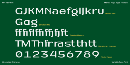 MN Newthon Font Poster 14