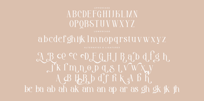 Rahgbok Font Poster 7