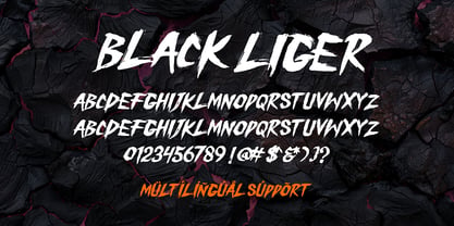 Black Liger Font Poster 2