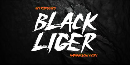 Black Liger Font Poster 1