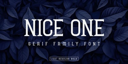 Nice One Font Poster 1