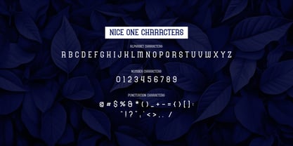 Nice One Font Poster 3